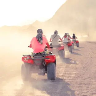 Desert Adventures - Discover Section