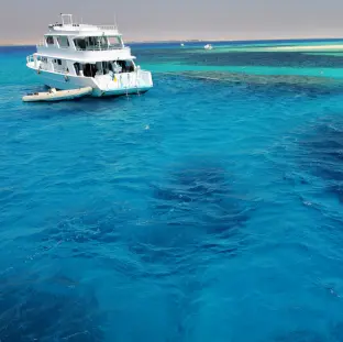 Excursion Guides - Discover Section