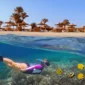 Red Sea Islands You Can Visit from Hurghada Giftun Orange Bay More 85x85
