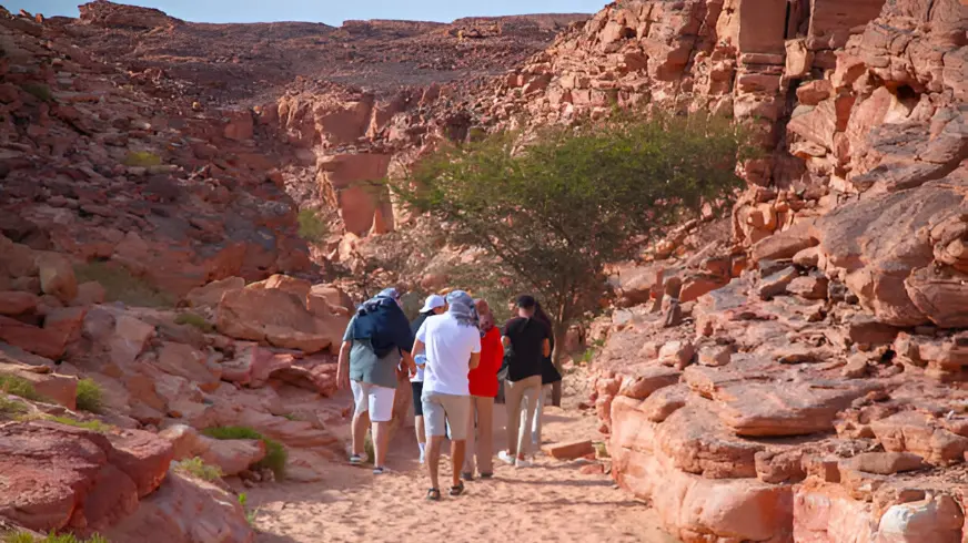 Sharm El Sheikh Where the Red Sea Meets World-Class Adventure & Relaxation