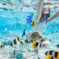 Snorkeling in Hurghada A Colourful Journey Beneath the Red Sea 85x85