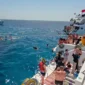 Top 10 Excursions in Hurghada for First Time Visitors 85x85